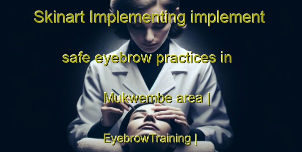 Skinart Implementing implement safe eyebrow practices in Mukwembe area | EyebrowTraining | EyebrowClasses | SkinartTraining-the Democratic Republic of the Congo